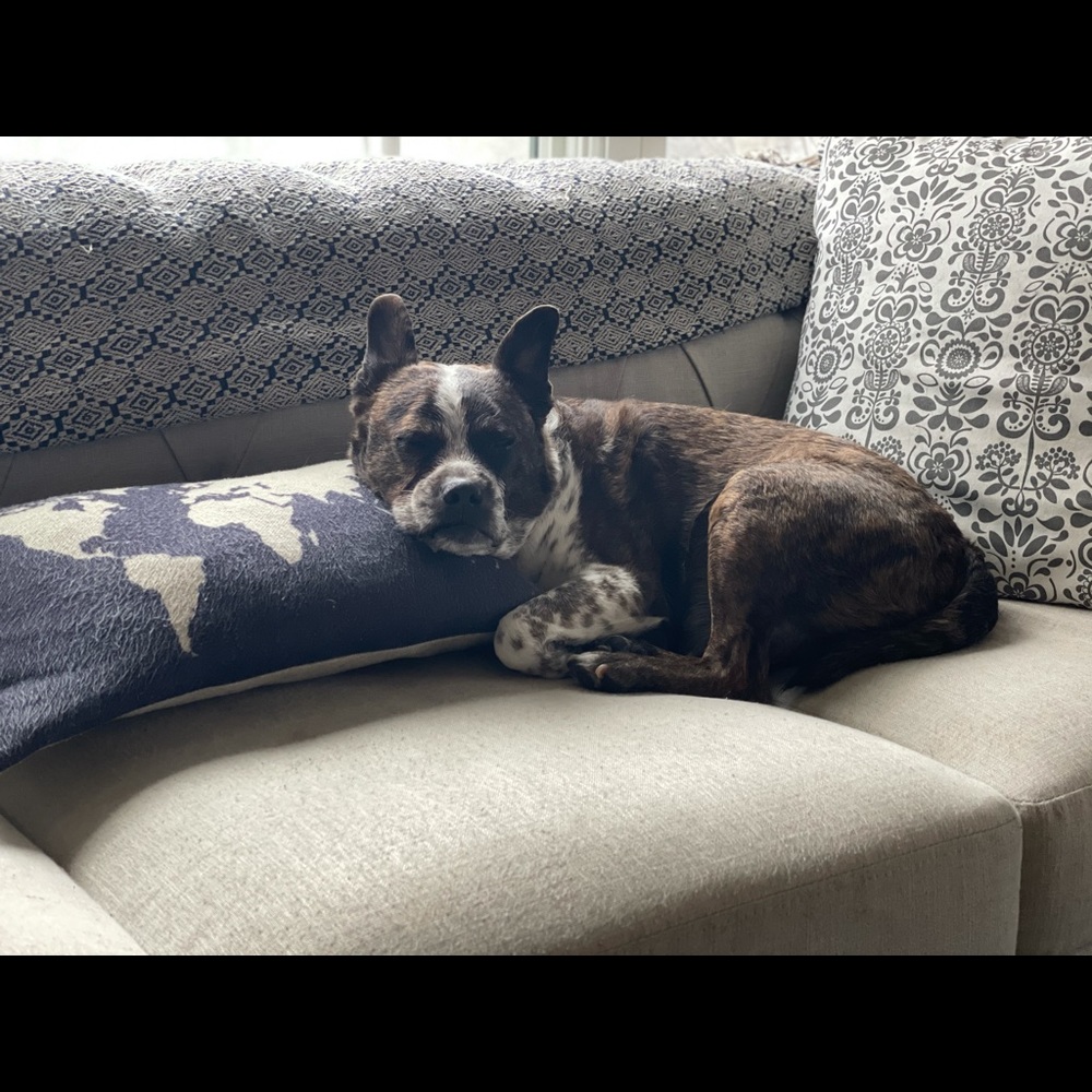 Meet your Posher, Erin